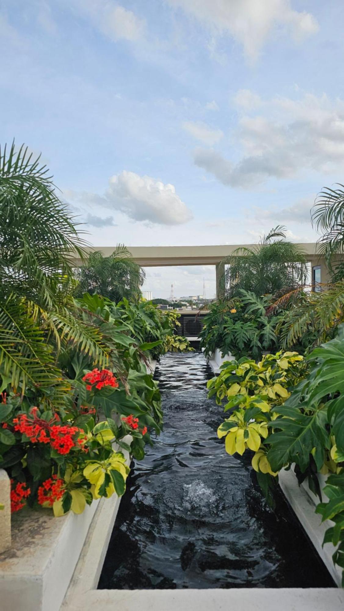 Xoza Hotel Urban Escape Cancún Kültér fotó
